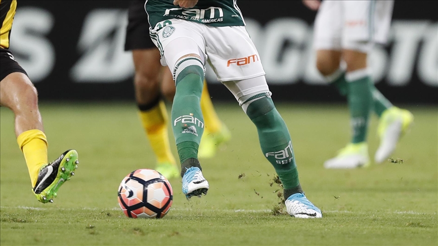 Palmeiras secure advantage for Copa Libertadores final