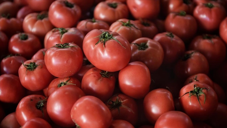 Los precios mundiales de los alimentos suben por séptimo mes consecutivo