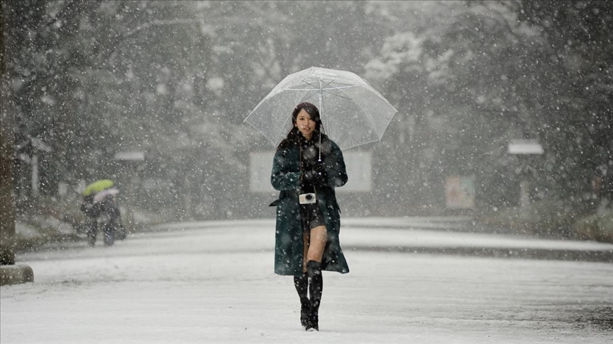Aumentó a 29 el número de muertos debido a fuertes nevadas en Japón