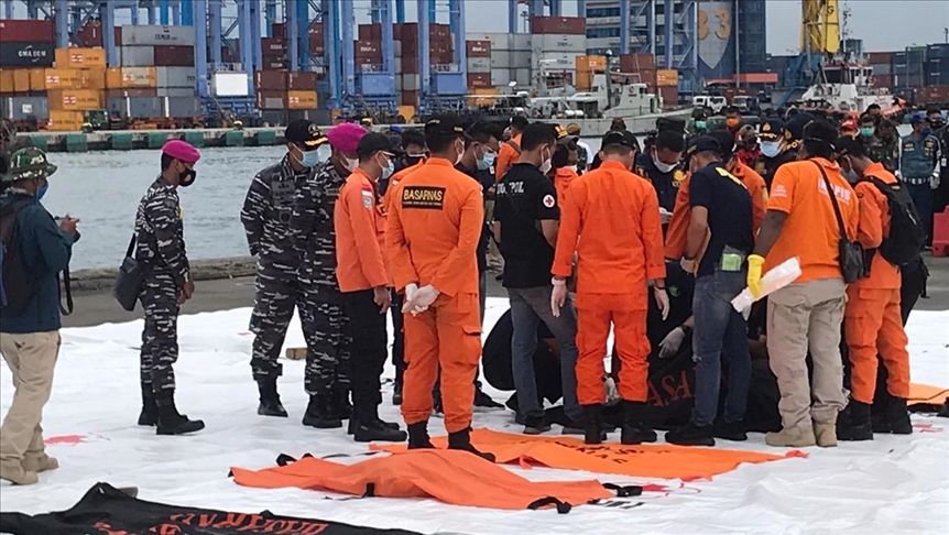 DNA of Indonesia crash victims' families to be matched
