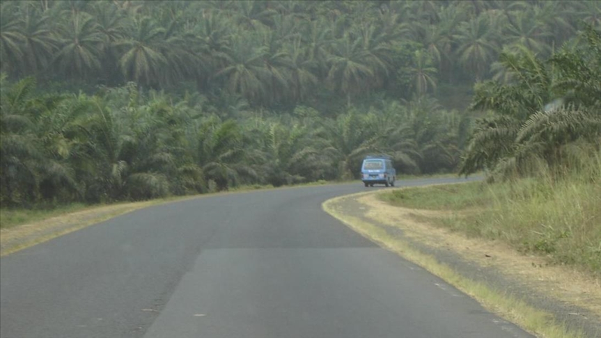 Cameroon-Central African Republic road re-opens