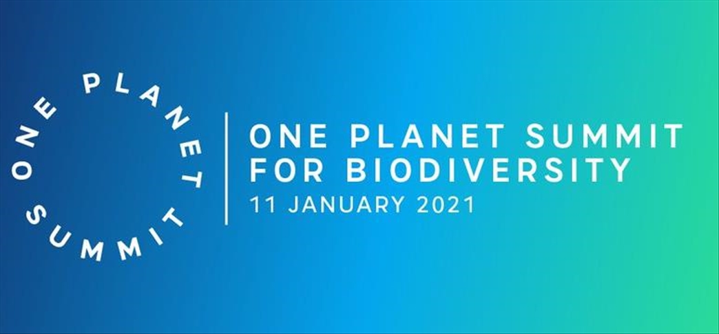 Leaders pledge to protect biodiversity at One Planet Summit