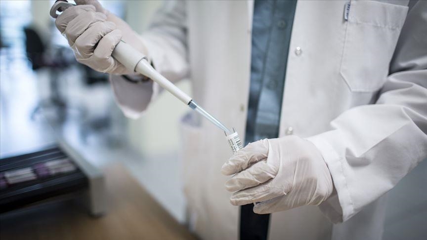 UN bodies, partners set up Ebola vaccine stockpile