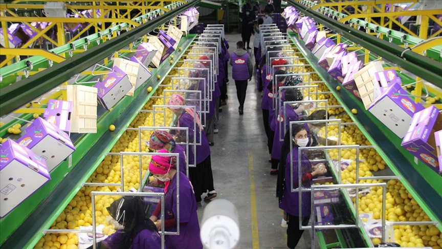 TİM Başkanı Gülle: 2020 ihracat hedefimize ulaşmamızda tarım sektörümüz kilit rol oynadı