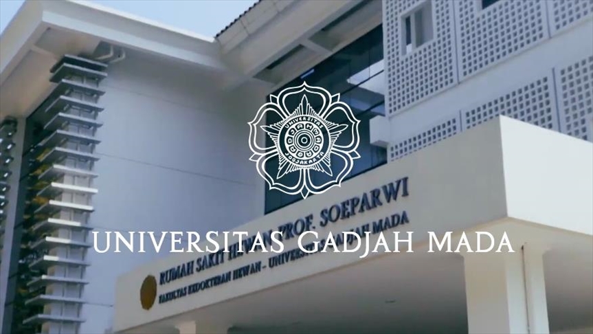 Indonesian university forms unit to combat sexual violence