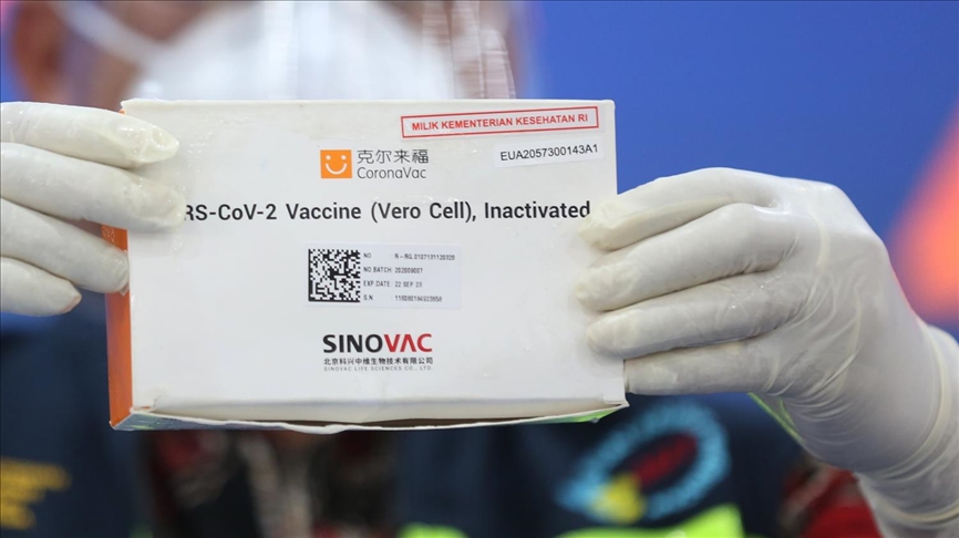 Sinovac official defends vaccine's effectiveness