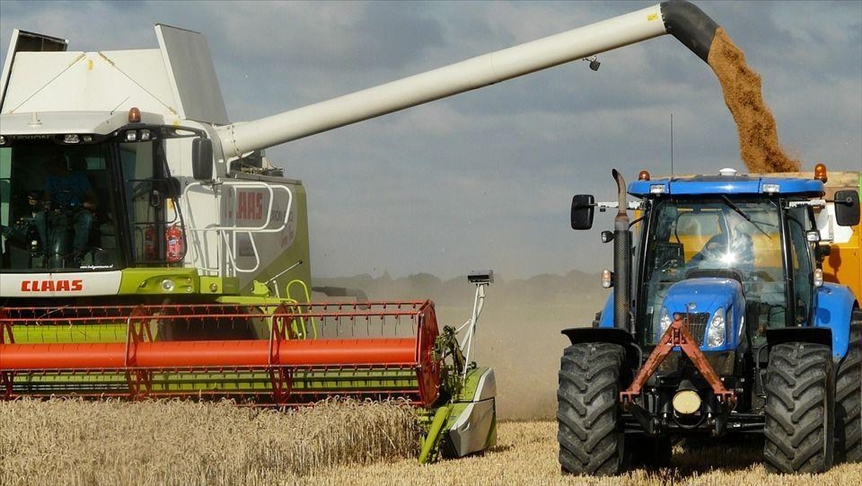 Экспорт агропромышленной продукции из России вырос на 20%