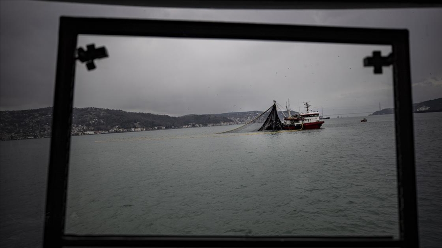 balikci teknelerinin essiz manzarali