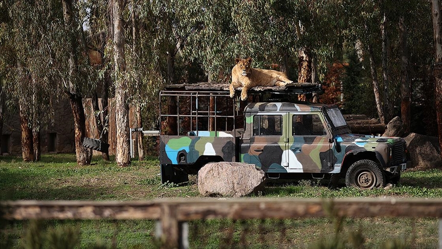 Izmir Dogal Yasam Parki Yeni Yuzuyle Salgin Sonrasina Hazir