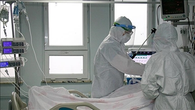 В Турции от COVID-19 вылечились свыше 2,39 млн человек