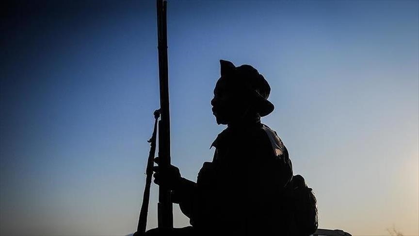Boko Haram vret 4 ushtarë në Niger