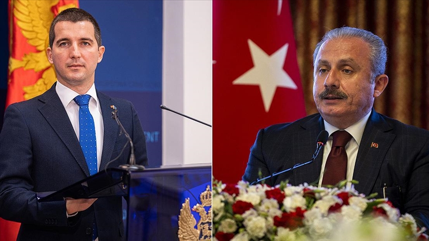 Predsjednik Skupštine Crne Gore Aleksa Bečić razgovarao s turskim kolegom Mustafom Sentopom