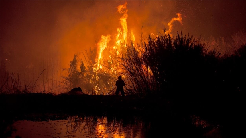 Incendios forestales en Chile destruyen más de seis mil hectáreas de bosque