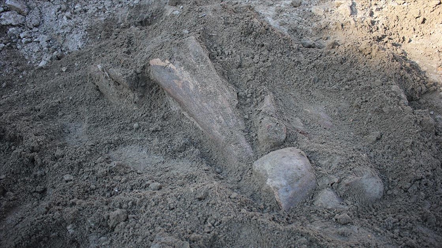 Amasya'da mamutlara ait olduğu değerlendirilen fosiller bulundu