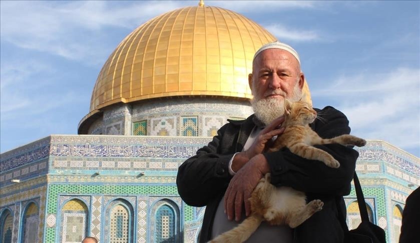 Palestinezi i përkushtuar për kujdesin e maceve në Al-Aksa humb jetën nga COVID-19