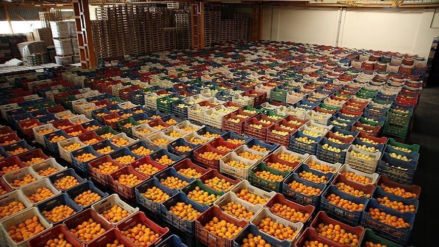 Экспорт свежих фруктов и овощей из Турции вырос на 21% 