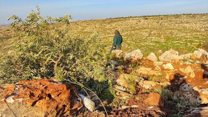 Israeli army turns Palestinian farmlands barren