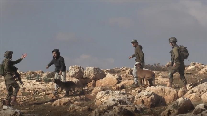 شهرک‌نشینان یهودی با سگ‌های وحشی به فلسطینیان حمله کردند