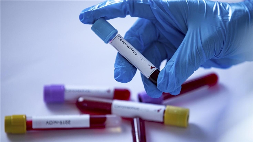 Bangladesh: Coronavirus death toll tops 8,000