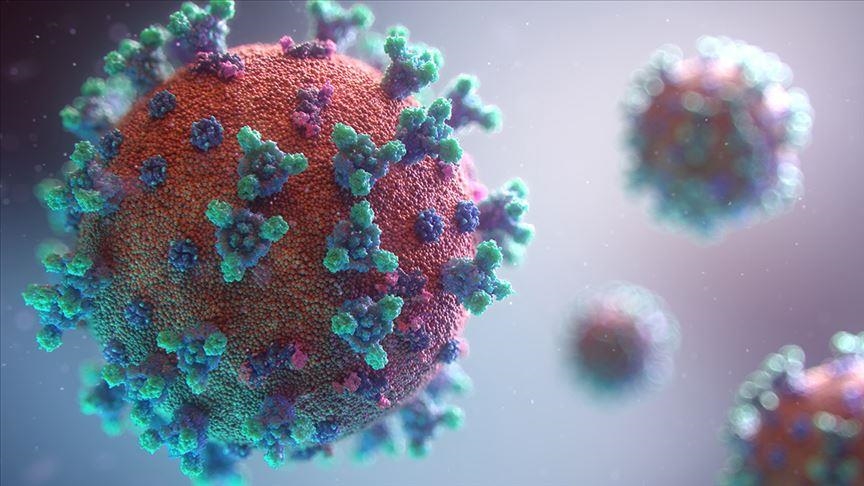Новый опасный штамм коронавируса появился в Израиле