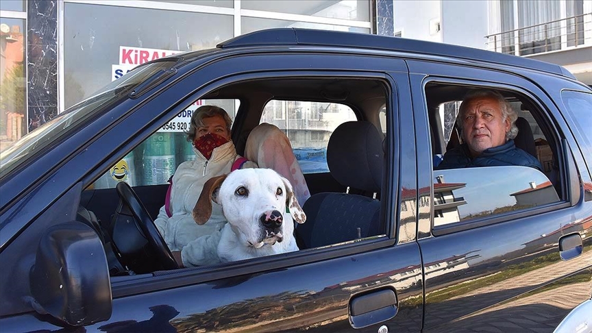 Hayvansever çift sokakta buldukları köpeğe araçlarını tahsis etti