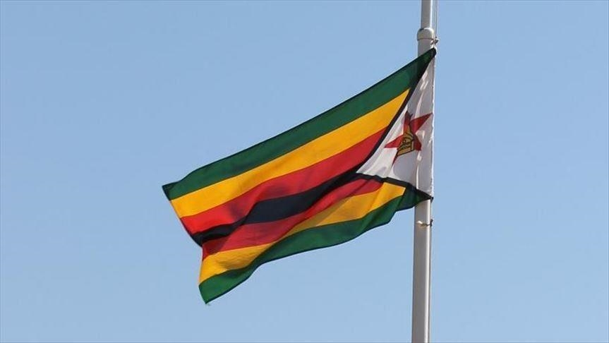 Zimbabwe: Jailed journalist granted bail