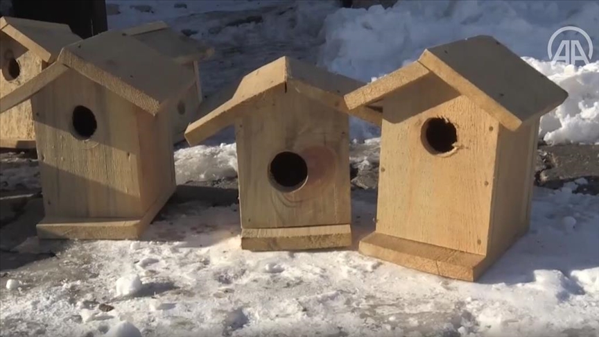 In Turkey, birds get shelter from biting cold