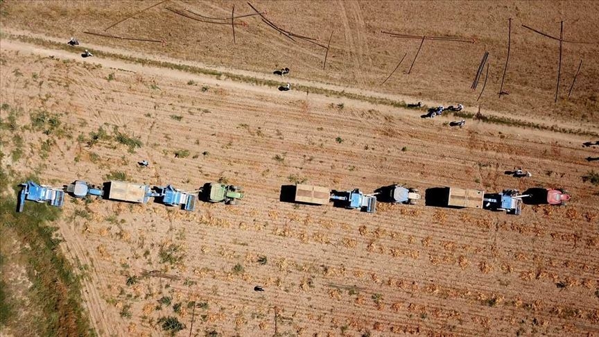 TEKNOFEST kapsamındaki tarımsal teknoloji yarışmalarına başvurular 28 Şubat'a kadar yapılabilecek