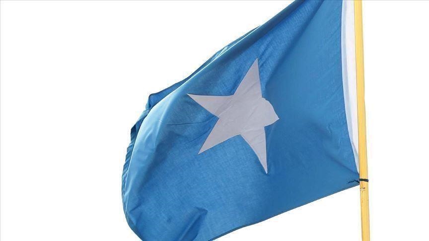 Somalia declares state of emergency over locusts