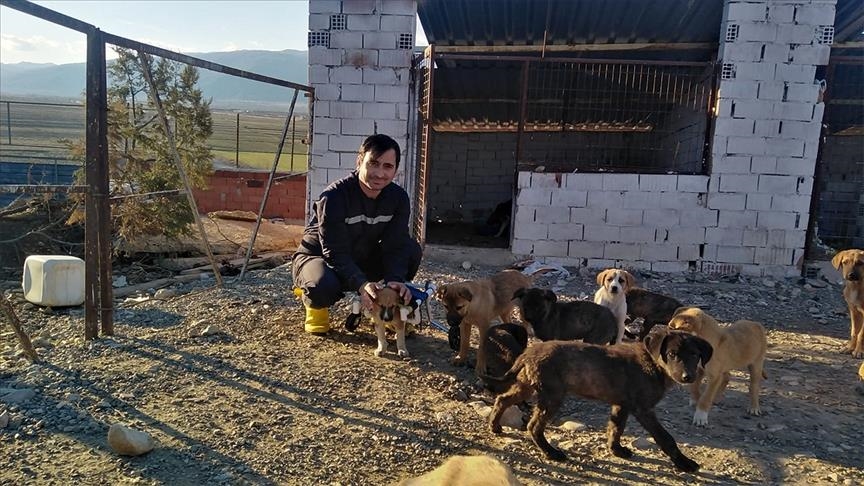 Turkey: Good Samaritan teacher helps puppy walk again