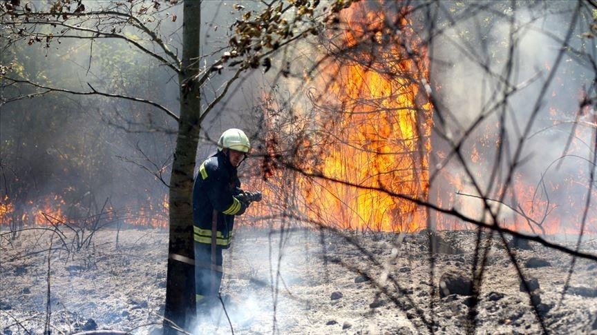 Турция - самая успешная страна в борьбе с лесными пожарами