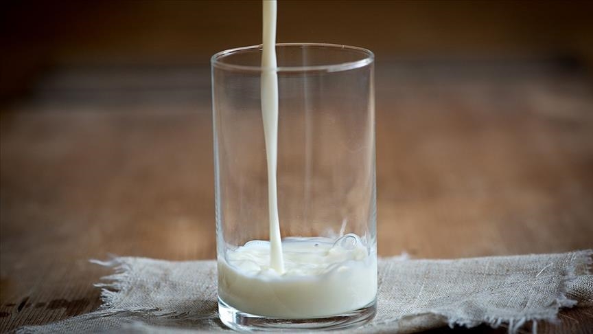 Turkey collects over 9.8M tons of cow milk in 2020