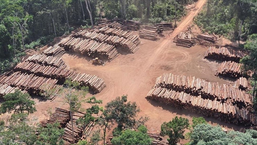 Diplomáticos europeos dan ultimátum al Gobierno de Brasil para que frene la deforestación en la Amazonía