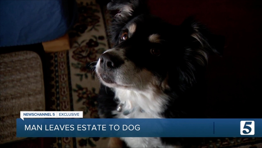 SAD: Poduzetnik u oporuci psu ostavio pet miliona dolara