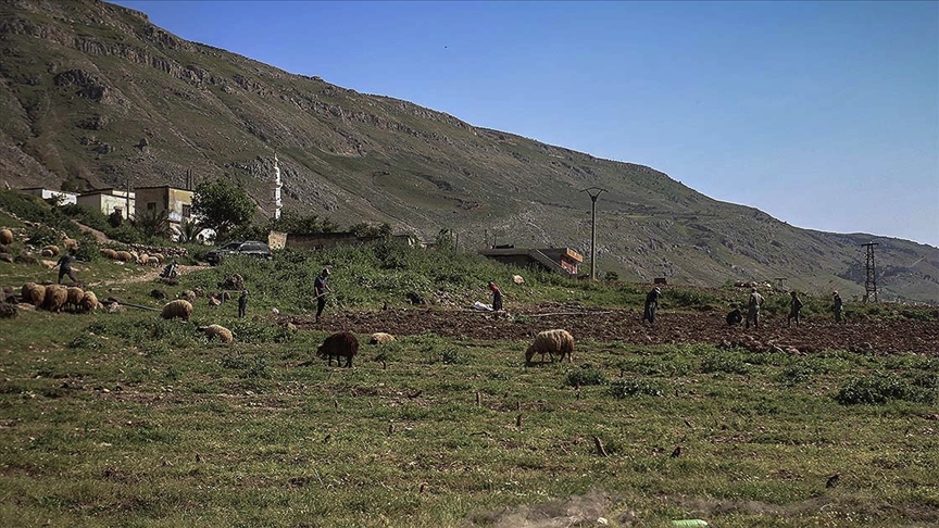 Esed rejimi, İdlib ve Hama'da yerinden ettiği çiftçilere ait en az 440 bin dönümlük araziye el koydu