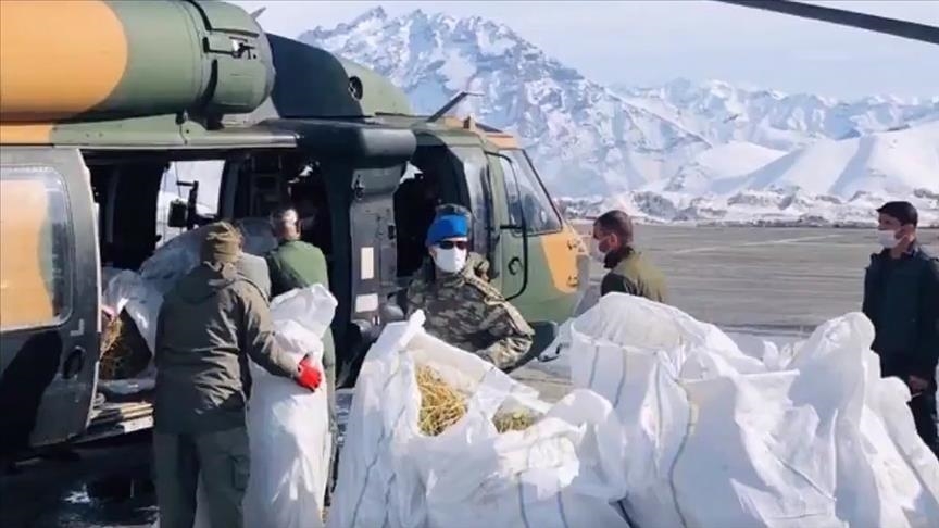 Neige à Hakkari : l'armée turque largue du fourrage pour les chèvres de montagne