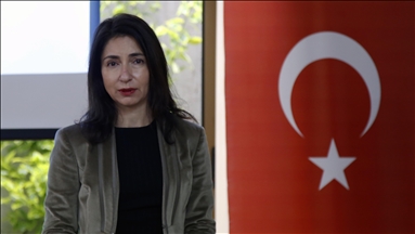 Turkey eyeing more investments in Ethiopia: Envoy