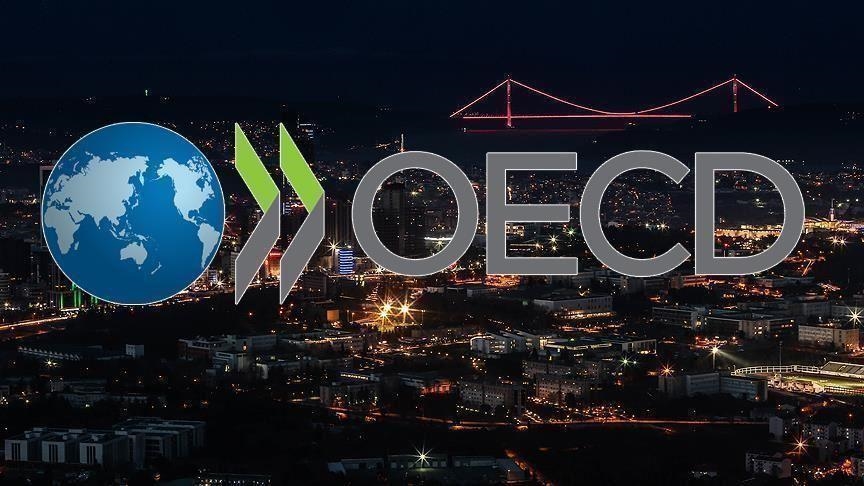 OECD area growth slows in Q4 2020