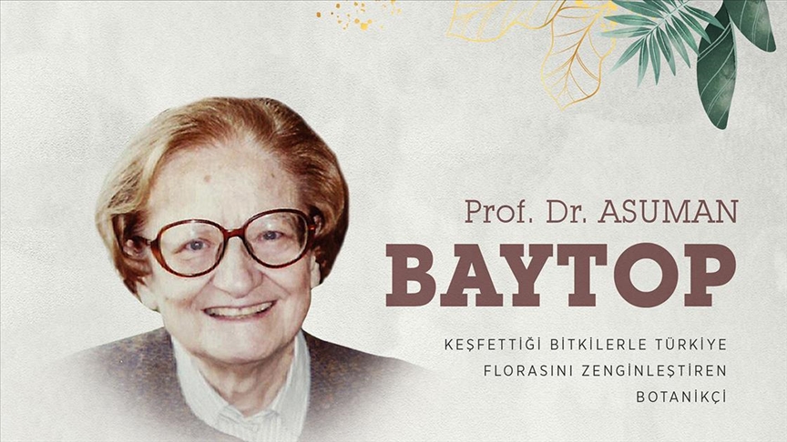 Keşfettiği bitkilerle Türkiye florasını zenginleştiren botanikçi: Asuman Baytop