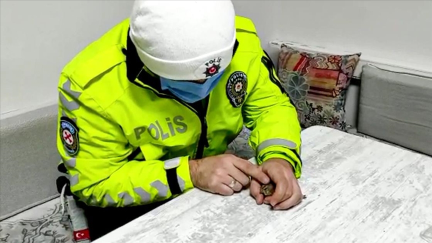 Malatya'da donmak üzere olan serçeye polisten şefkat eli