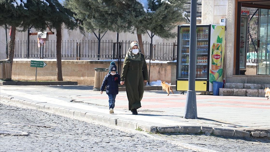 Bir aydır Kovid-19 vakası görülmeyen Tillo ilçesinde tedbirler eksiksiz uygulanıyor