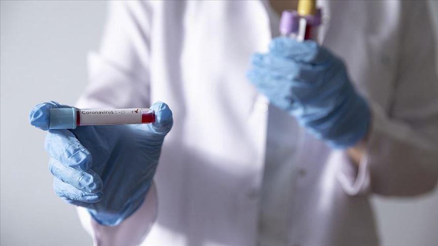 Greece registers highest number of COVID cases in weeks