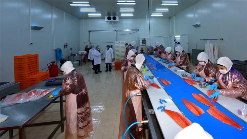 Karadeniz somonu 2021'in ilk ayında 23 ülkeye ihraç edildi