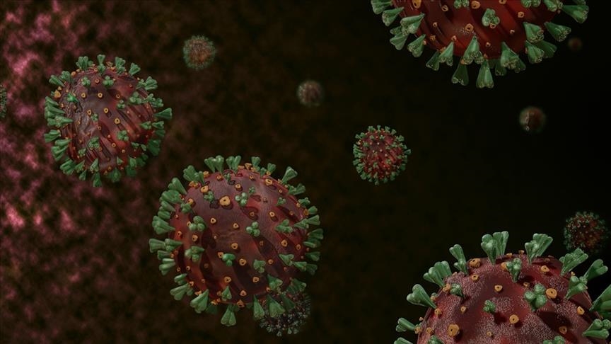 Coronavirus: Découverte d'une nouvelle souche plus dangereuse en Californie