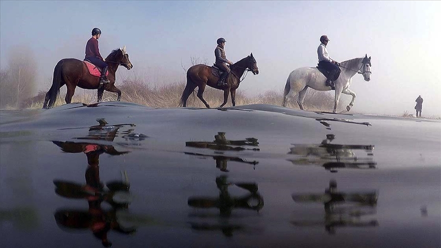 Uluabat Gölü'nde dizlerine kadar suya giren atların sırtında 'safari' keyfi