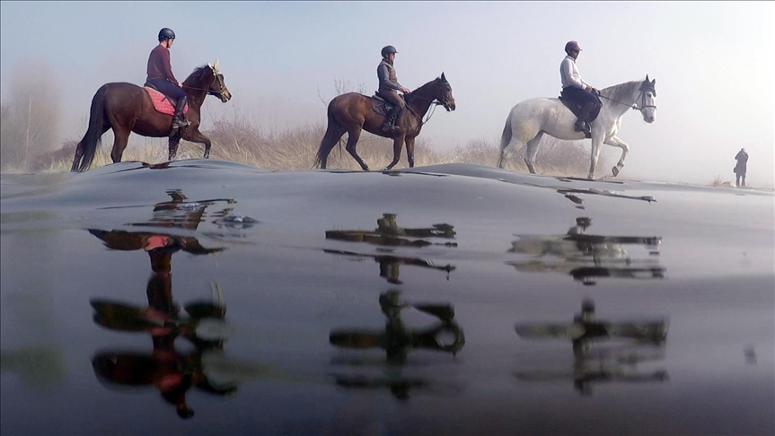 على ظهور الخيول.. جولات لاستكشاف الطبيعة في بورصة التركية (تقرير) 