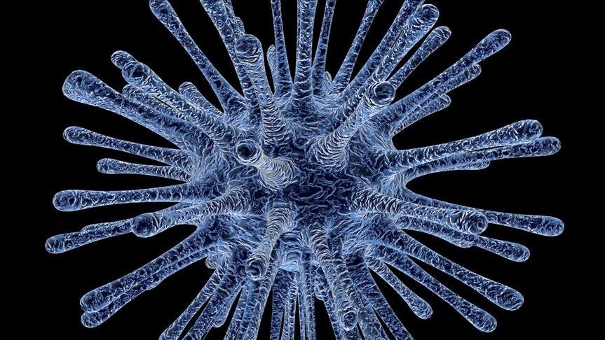 UK virus strain detected in Tunisia