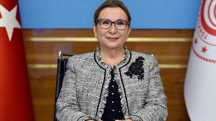 Реформы станут новым толчком для роста Турции в 2021 году - Минторг