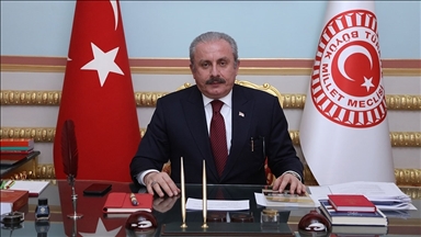 TBMM Başkanı Şentop: Türkiye'nin ihtiyacı olan yeni Anayasa konusunda elimi taşın altına koymaya hazırım