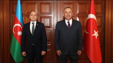 Dışişleri Bakanı Çavuşoğlu, Azerbaycan Kültür Bakanı Kerimov'la görüştü